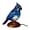 Blue, variant on Ruanlalo Stained Glass Bird Lamp Light USB Powered Resin Bird Night Light Home Office Living Room Bedroom Desk Decoration Lamp Christmas Birthday Gift