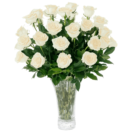 White Roses Fresh Flowers Delivery - 2 Dozen Roses For Delivery/Farmhouse Flowers For Delivery - Fresh Cut Long Stem Roses Bouquet Of Flowers Birthday Gifts For Women - Aquarossa Farms