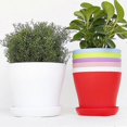 thumbnail image 4 of 25pcs Succulent Plant Pot Saucer Round Tray Plastic Flower Pot Plate Holder, 4 of 4