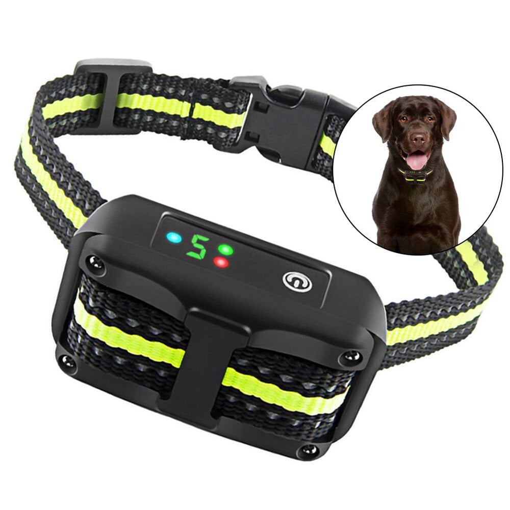beep and vibration dog collar