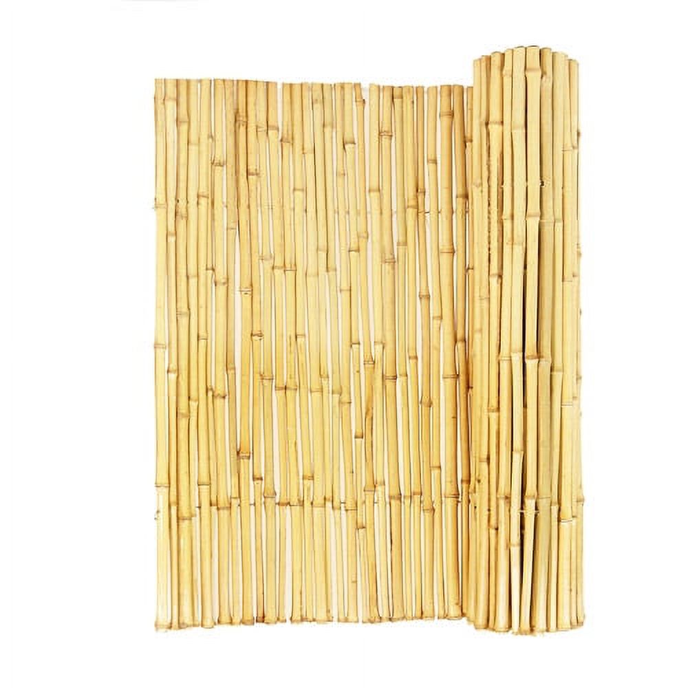 Backyard X-Scapes Natural Bamboo Fence Panel 3/4" D x 6' H x 8' L