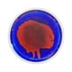 thumbnail image 5 of Baldosas decorativas líquidas perfecl redondas 11,81 pulgadas suelos sensoriales juguetes sensoriales rojo y azul, 5 of 8