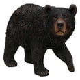 thumbnail image 3 of BLACK BEAR WALKING, 3 of 5