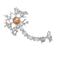 thumbnail image 3 of Broche de Tejido Nervioso, Joyería, , Insignia, Bolsa, de Enfermera, Trajes, Decoración , Plata, tal se describe Fernando Broche de tejido nervioso, 3 of 6