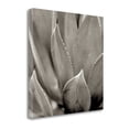 thumbnail image 2 of Tangletown Fine Art 'Florison - 49' Graphic Art Print on Wrapped Canvas, 2 of 3