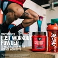 thumbnail image 4 of BSN CELLMASS 2.0 Post Workout Recovery with BCAA, Creatine, & Glutamine, Arctic Berry, 25 Servings, 4 of 5