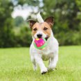 thumbnail image 5 of Juguete Para Masticar Perros Pelota luminosa que rebota, mascota, perro, cachorro, bola de luz LED, juguete intermitente para cachorro, 5 of 5