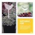 thumbnail image 4 of Glass Self Watering Globe Automatic Plant Watering Bulbs 3Pcs Pack, 4 of 5