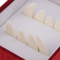 thumbnail image 3 of Púa de Uñas de Cítara China Shamjiam 8 Piezas Guzheng Blanco, 3 of 9