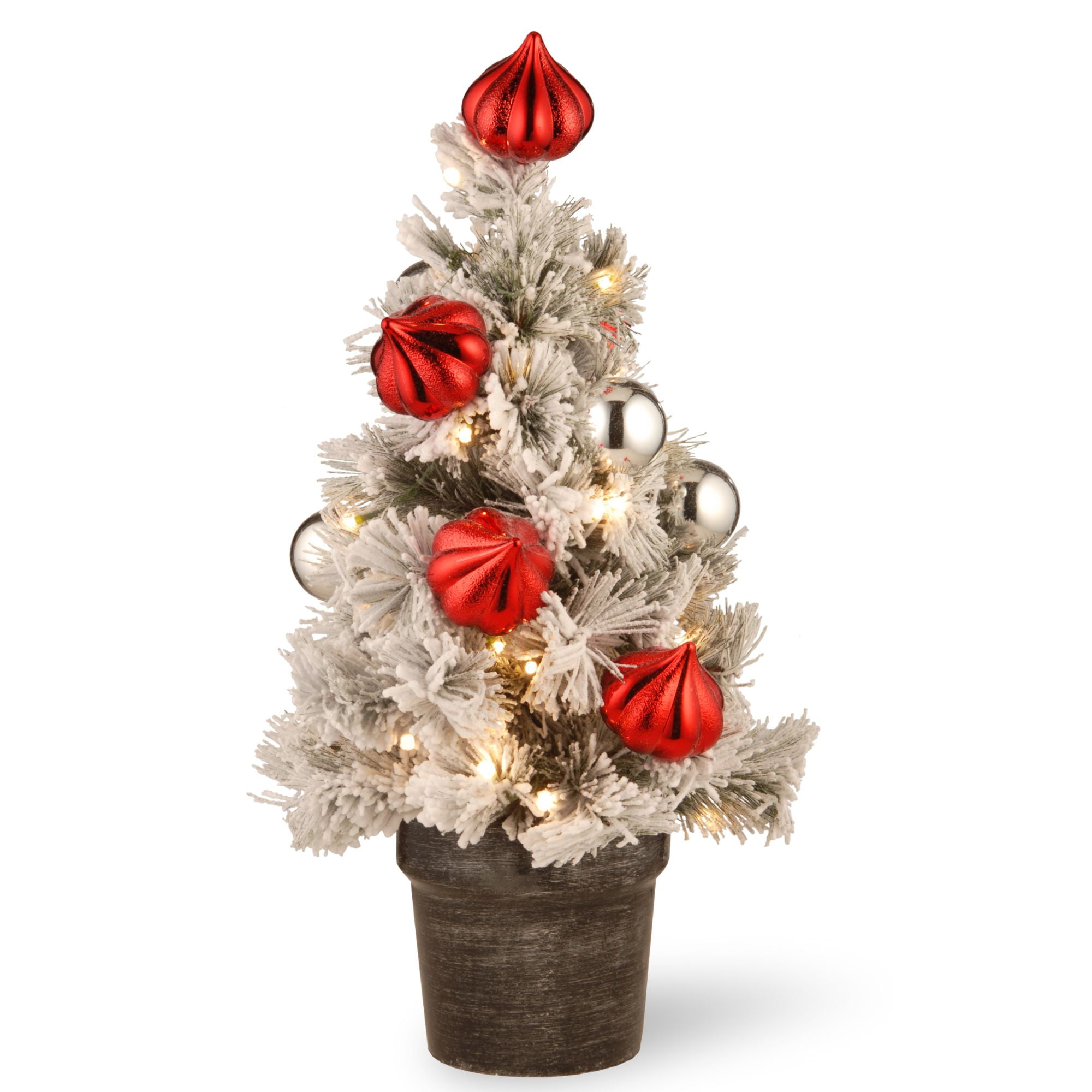 2' PreLit Potted Snowy Bristle Pine Medium Artificial Tabletop