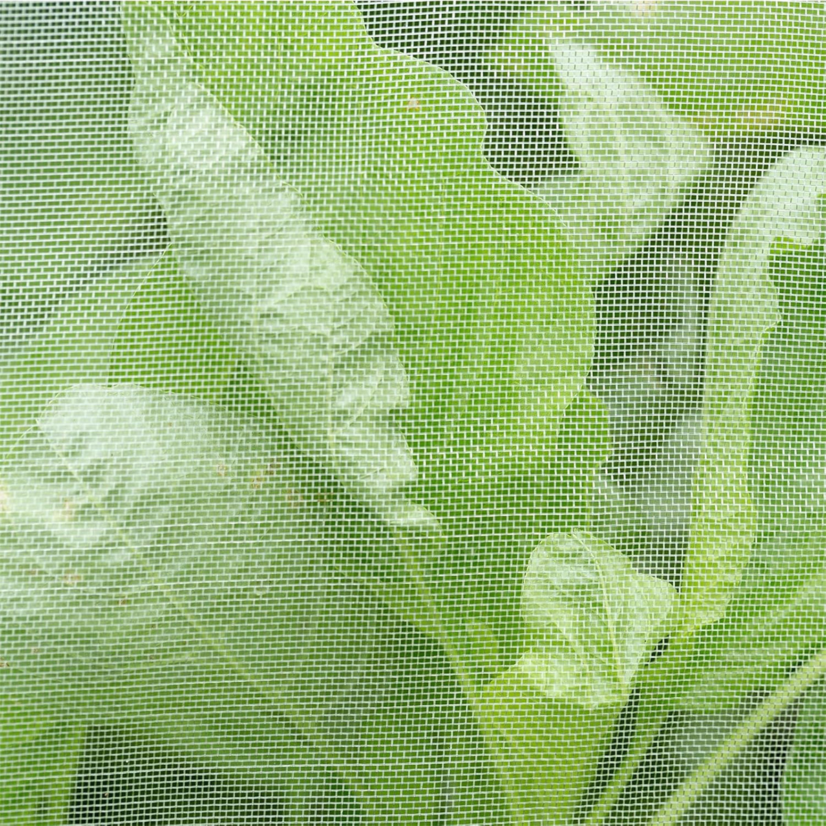 1pack Garden Vegetables Protection Mesh,Netting Plant Covers,Yahome Garden Mesh Netting,Barrier Covers for Plant Vegetables