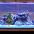 thumbnail image 4 of KAKOWELY De Planta Falsa Para De Reptiles Con Material Y Resistente, 4 of 8