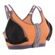 thumbnail image 5 of Mujer Yoga Fitness Cremallera Estiramiento Entrenamiento Inalámbrico Acolchado Sujetador deportivo a prueba de golpes (Naranja L), 5 of 5