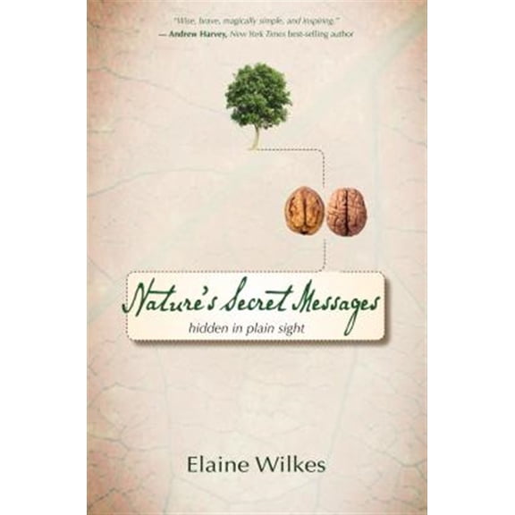 Pre-Owned Nature's Secret Messages: Hidden in Plain Sight (Paperback) 1401925464 9781401925468