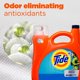 thumbnail image 3 of Detergente para ropa Tide Plus Febreze Sport Odor Defense 3.11 L, 3 of 5