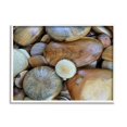 thumbnail image 4 of Stupell Industries Wood Stones Nature Photography Landscape Photography White Framed Art Print Wall Art, 4 of 5