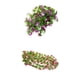 thumbnail image 1 of Guirnalda de flores de seda artificial,Flor falsa,Vid de flor artificial,Decoración colgante,Suministro de guirnaldas,Decoración floral,Decoración de la boda,Decoración de fiesta,Corona de, 1 of 9