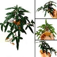 thumbnail image 2 of Animaux Rampants, Fournitures de Rampement, Plantes Simulées, Animaux, 2 of 8