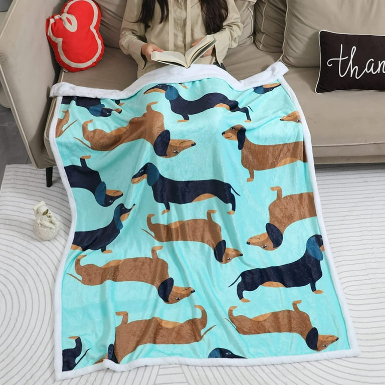 Dachshund Accessories for Sausage Dogs