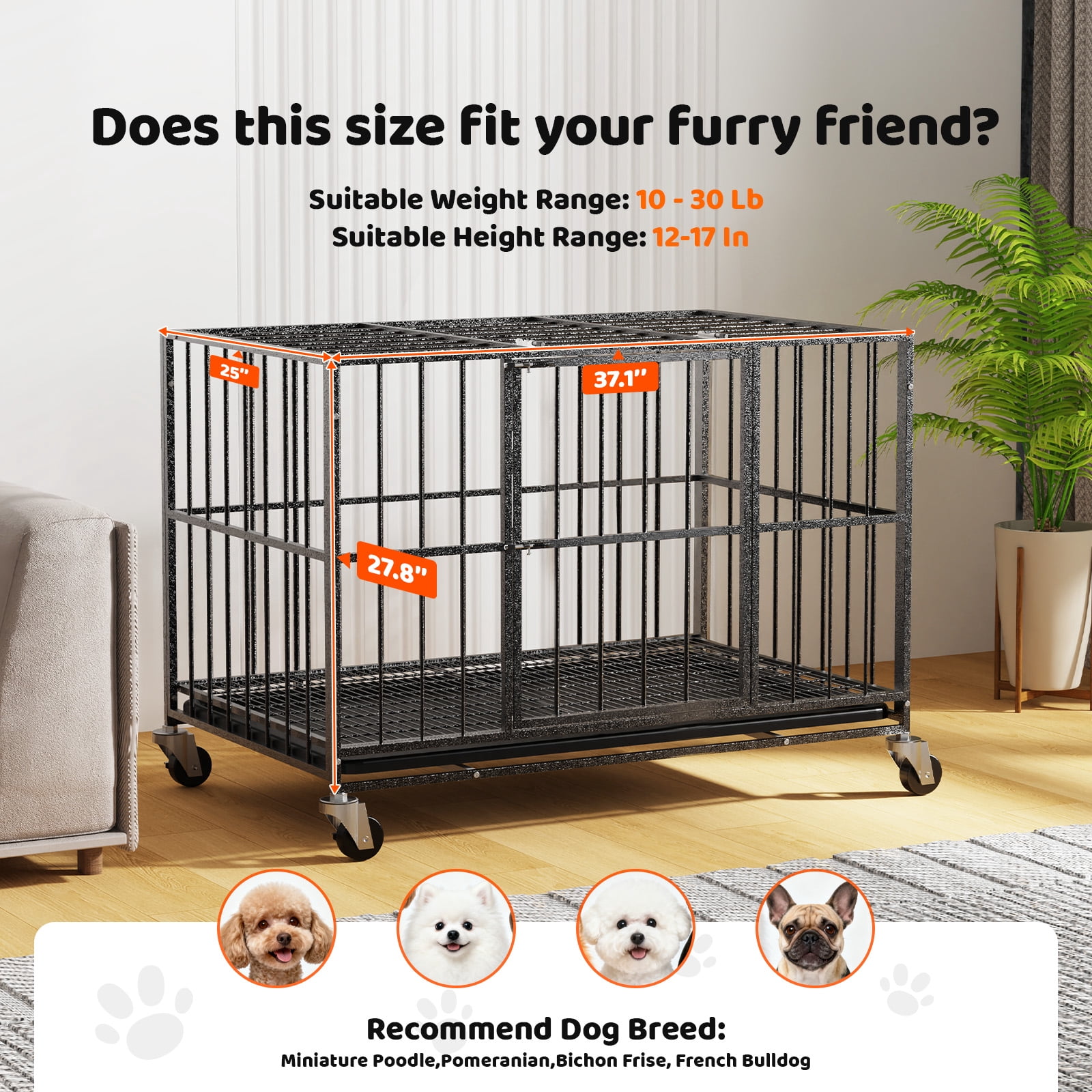 Time Ray 38 inch Dog Crate for Medium Dog with Steel Escape Proof,Heavy Duty Indestructible Dog Kennel with Double Doors,Lockable Wheels and Removable Tray,Black