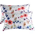 thumbnail image 1 of 2-Pack Pillow Set Eye Mask 20 Super Soft Satin Pillowcase, 1 of 4