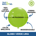 thumbnail image 3 of 10 Globos de Color Verde Lima Tilco Balloons 40 Pulgadas, 3 of 3