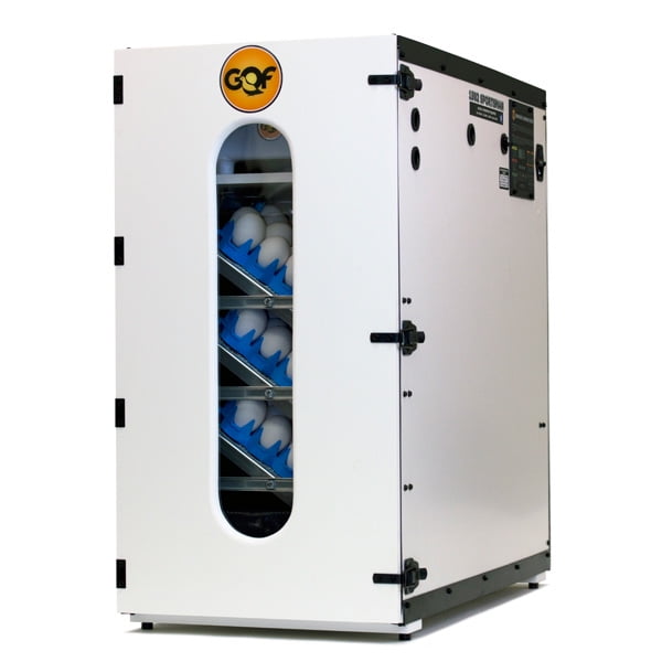 sportsman gqf incubator sportsman gqf incubator