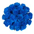 Bloomingmore, Tinted Blue Roses, 50 stems, 60 cm farm direct flowers ...