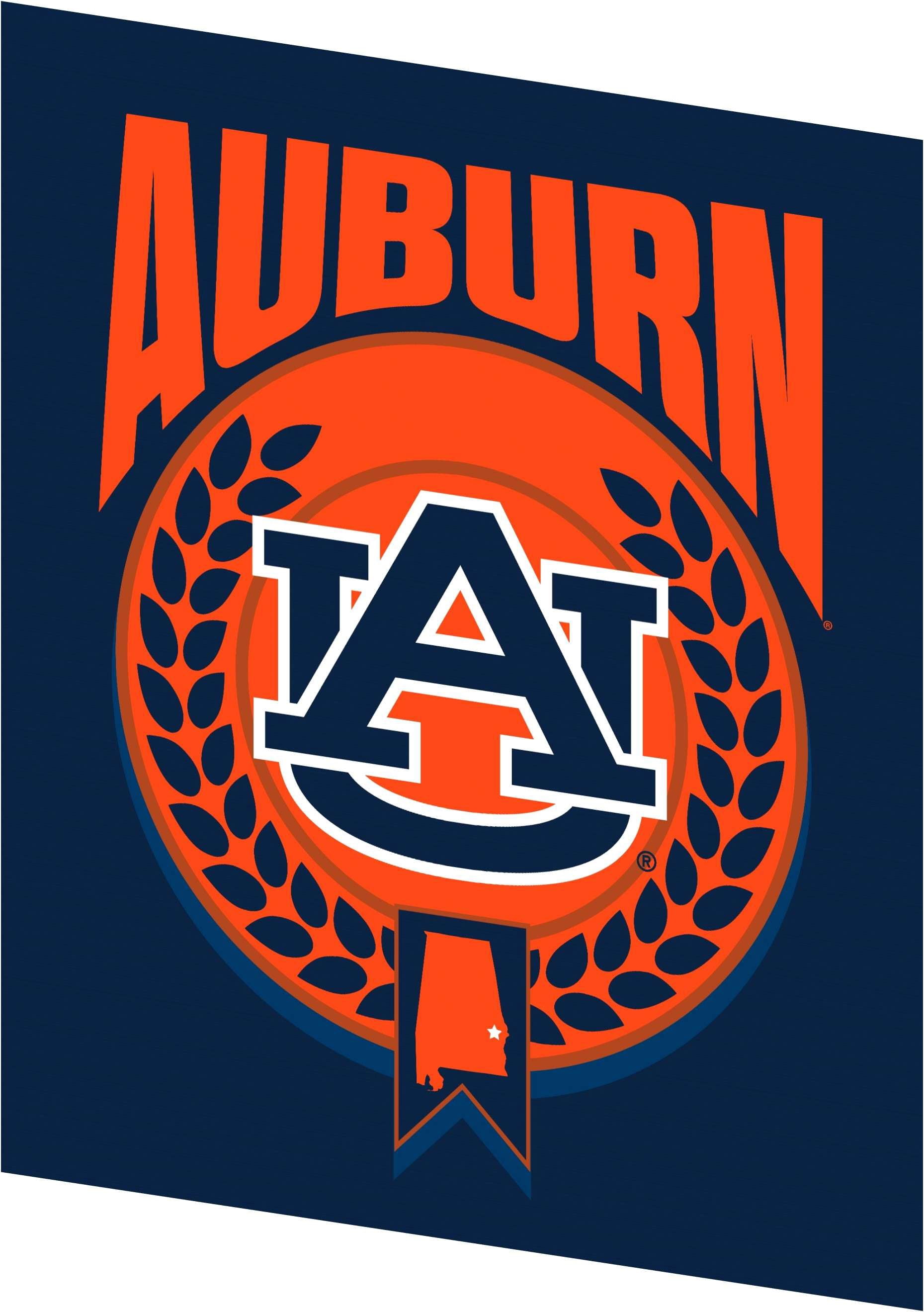 Auburn NCAA Apex Silk Touch Sherpa Throw 50x60 inches