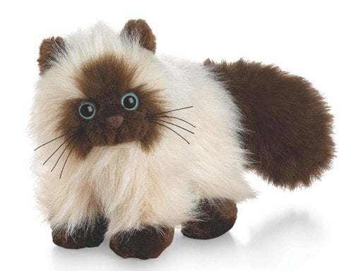himalayan cat plush