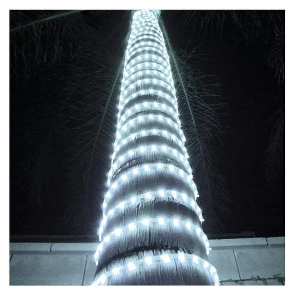 LED Rope Lights festival holiday party Seasonal Christmas decoration 30ft - 200ft Customized available (Cool white, 30)