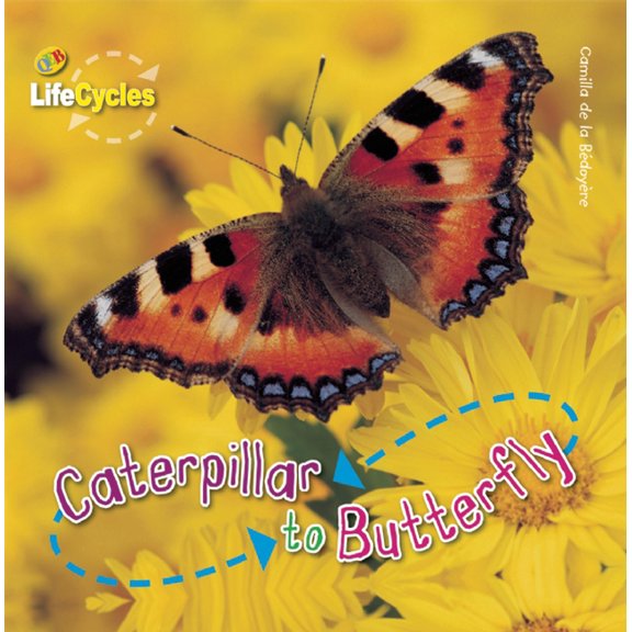 Pre-Owned Caterpillar to Butterfly (LifeCycles) (Hardcover) 1595667423 9781595667427