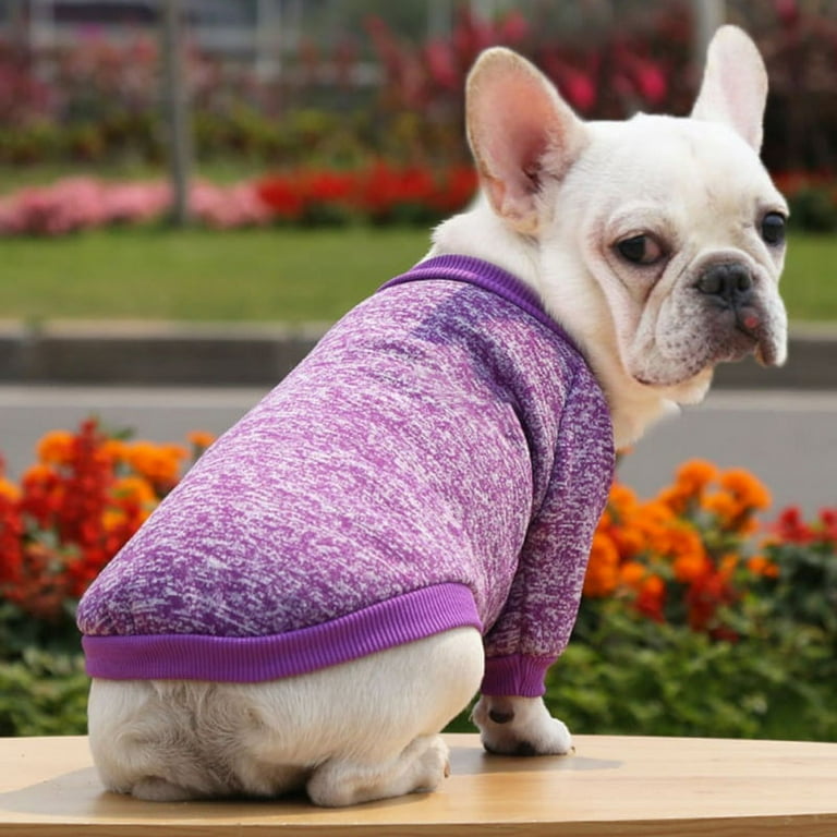 2xl dog deals sweaters