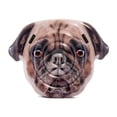 thumbnail image 1 of Flotador Inflable Intex Pug, 1 of 2