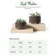 thumbnail image 2 of BEMAY 2-Pack Ceramic Succulent Pots with Drainage Holes, 6.3"& 7.8" Indoor Planters with Mesh Pads, Silicone Plugs and Felt Feet for Cactus and Houseplants Plant Pots,Reactive Glaze Black Pots, 2 of 6
