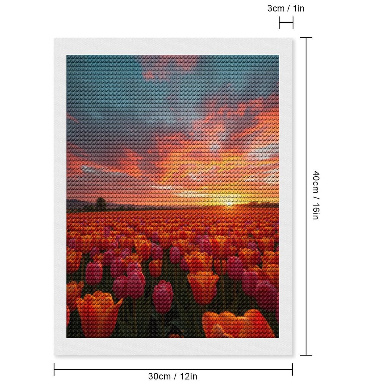 Diamond Art Kits for Adults - Sunset Over Tulip Field 5d Diamond Painting for Adults, Diamond Art for Adults Beginners, Frameless Diamond Painting Kits for Adults for Home Wall Decor