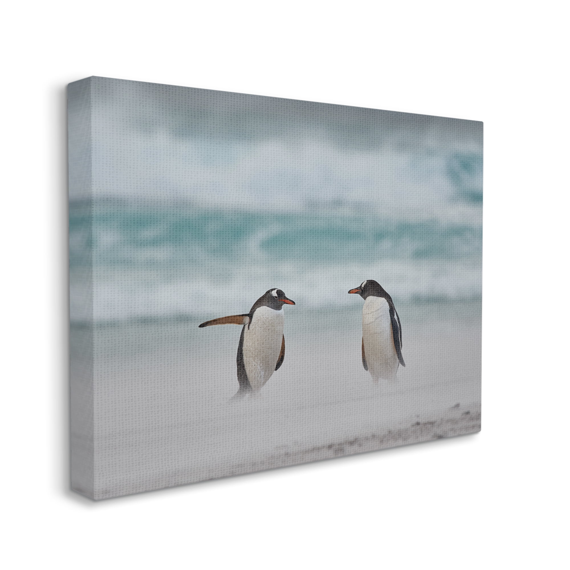 Stupell Industries Penguins on Arctic Beach Animals & Insects Photography Gallery Wrapped Canvas Art Print Wall Art, 48 x 36