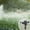 Black, variant on Kokovifyves Summer Savings Clearance 2023!Plastic External Thread 360 Degrees Rotating Rocker Arm Sprinkler Water-Saving Irrigation for Agricultural Gardens
