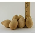 thumbnail image 3 of Dried Egg Gourds for Crafting box of 50, 3 of 7