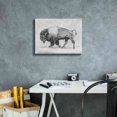 thumbnail image 6 of Epic Graffiti 'Wild Bison Study II' by Emma Scarvey, Giclee Canvas Wall Art, 16"x12", 6 of 8
