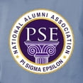 thumbnail image 3 of CafePress - Pi Sigma Epsilon National Alumni Association T Shirt - Womens Comfort Colors® Shirt, 3 of 4