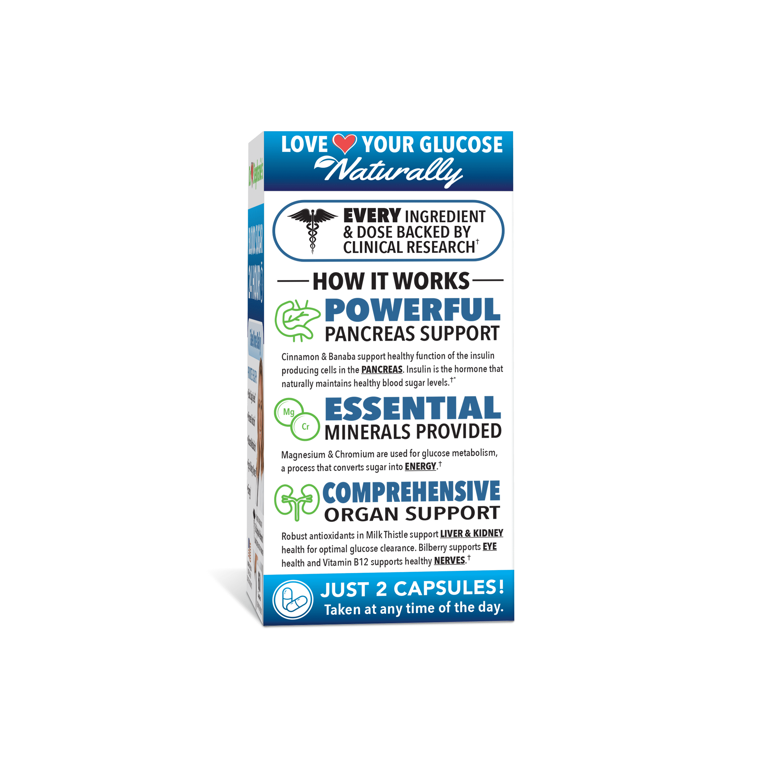 Dr. Stephanie's Double Pack- Blood Sugar 24 Hour + Carb & Sugar Blocker - 2 Pack Supplements