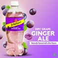 thumbnail image 3 of Schweppes White Peach Ginger Ale (6 bottles) - Dry Grape (6 bottles) - Variety Pack - Refreshingly Delicious - 12, 20oz Bottles, 3 of 6