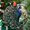 Blue Green Peacock2585, variant on Ornament Window Hanging, Dragonfly Flower Suncatcher for Doors Home Sun Catchers Decoration and Christmas, Mother's Day Birthday Gifts for Women, Men, and Mom, 2025, Festive Home
