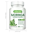 thumbnail image 2 of ZHIBENON Moringa Oleifera Capsules 90 Counts 95% Pure 100% Natural Gluten-Free for Immune & Digestive Health Support, 2 of 8