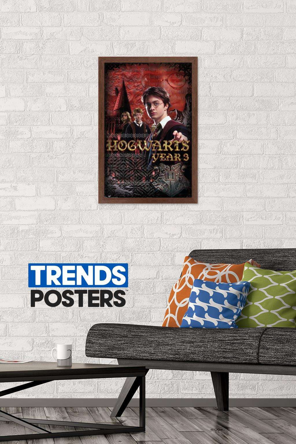 Harry Potter and the Prisoner of Azkaban - Year 3 Wall Poster, 14.725" x 22.375", Framed