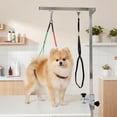 thumbnail image 2 of PawHut Foldable Dog Grooming Arm with Clamp and 3 Loops, Silver, 2 of 10