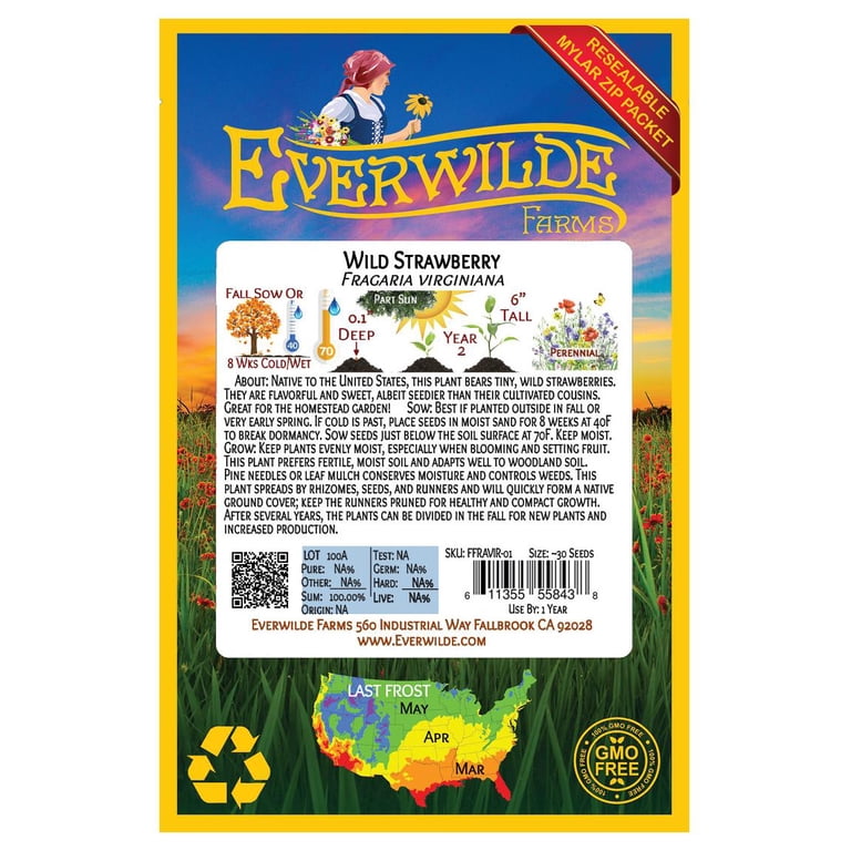 Everwilde Farms - 30 Wild Strawberry Native Wildflower Seeds - Gold Vault Seed  Packet - Walmart.com