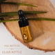 thumbnail image 4 of 12 mini frascos de vidrio marrón oscuro con gotero vacío para aceites esenciales, productos químicos y perfumes (1 ml, 2 ml, 3 ml, 5 ml), 4 of 7