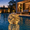 Yellow, variant on Solar Floating Pool Lights, 14 Inch Colorful Solar Pool Light Balls, Floating Glow Globe IP68 Waterproof, Inflatable Solar Lights up Balls for Swimming Pool Pond Outdoor Decor -1 Pack